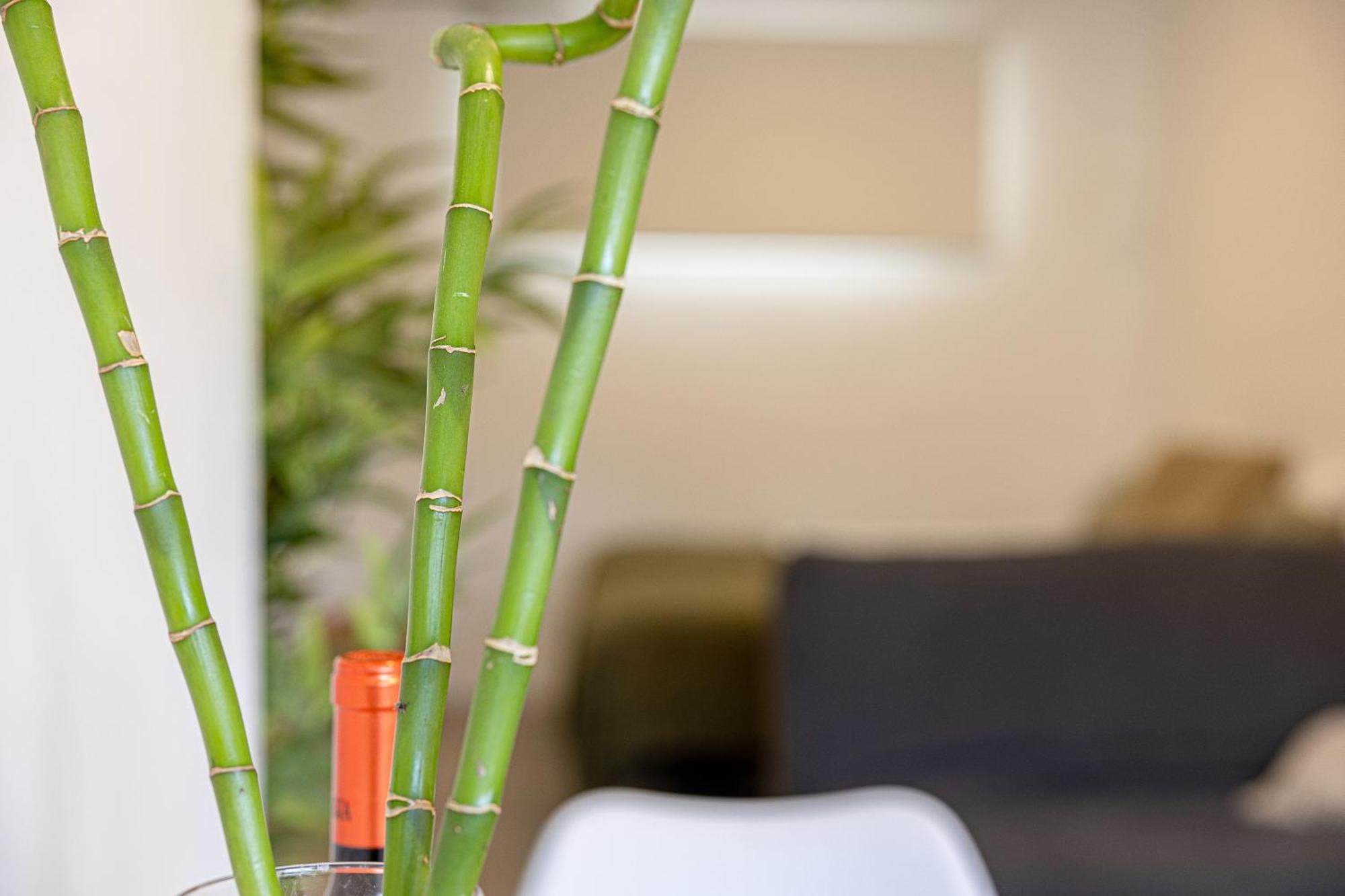 Bambu Suites Vegueta Alquiler Por Habitacion Las Palmas de Gran Canaria Exterior photo