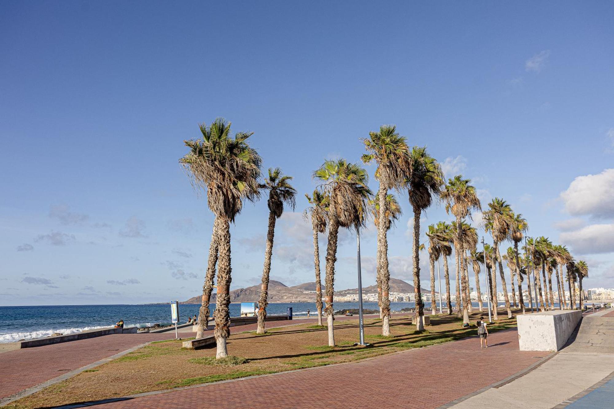 Bambu Suites Vegueta Alquiler Por Habitacion Las Palmas de Gran Canaria Exterior photo
